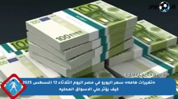 «تغيرات هامة» سعر اليورو في مصر اليوم الثلاثاء 12 أغسطس 2025 كيف يؤثر على الأسواق المحلية